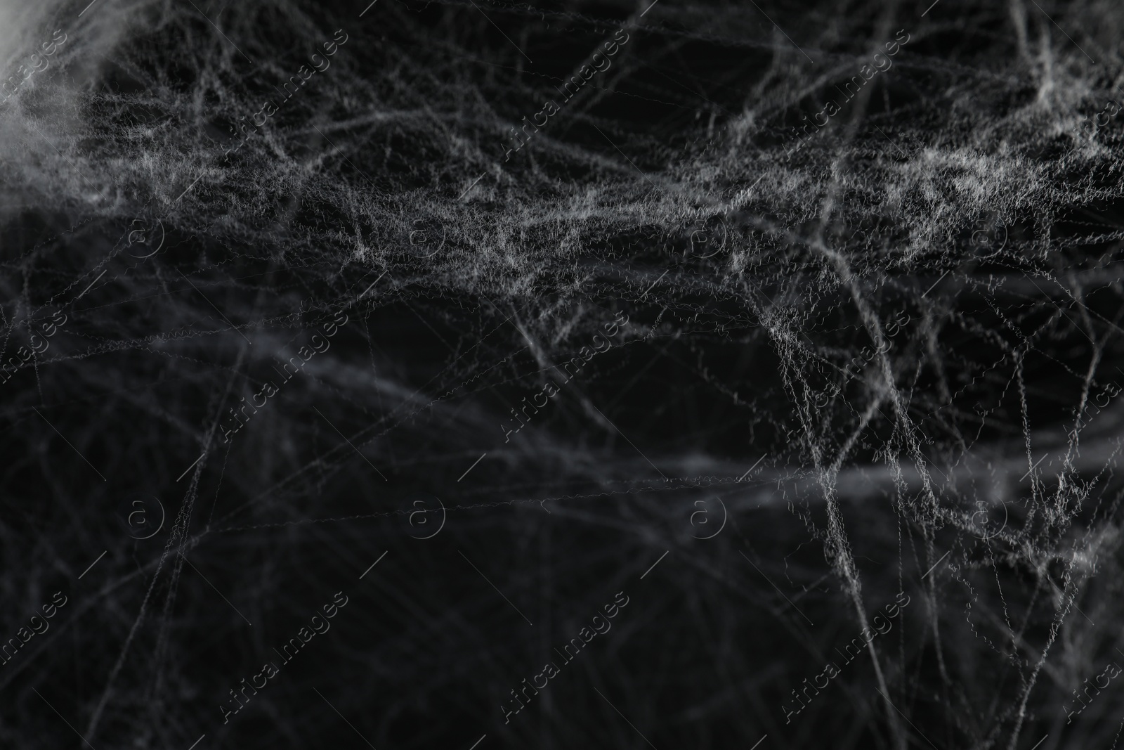 Photo of Creepy white cobweb on black background, closeup