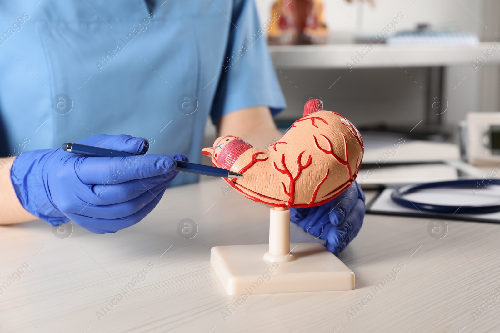 Photo of Gastroenterologist showing human stomach model at table in clinic, closeup