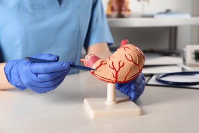 Photo of Gastroenterologist showing human stomach model at table in clinic, closeup