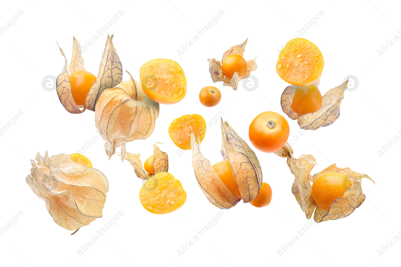 Image of Ripe orange physalis fruits with calyx falling on white background