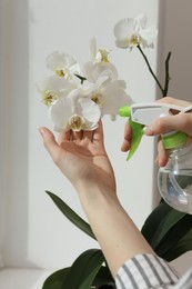 Photo of Woman spraying blooming white orchid flowers with water near window, closeup