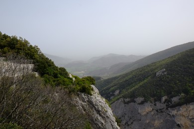 Picturesque view of green forest in mountains