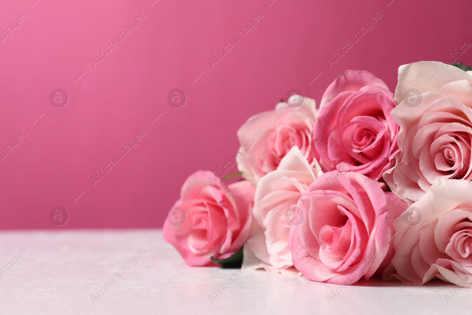 Photo of Beautiful roses on light table against pink background, closeup. Space for text