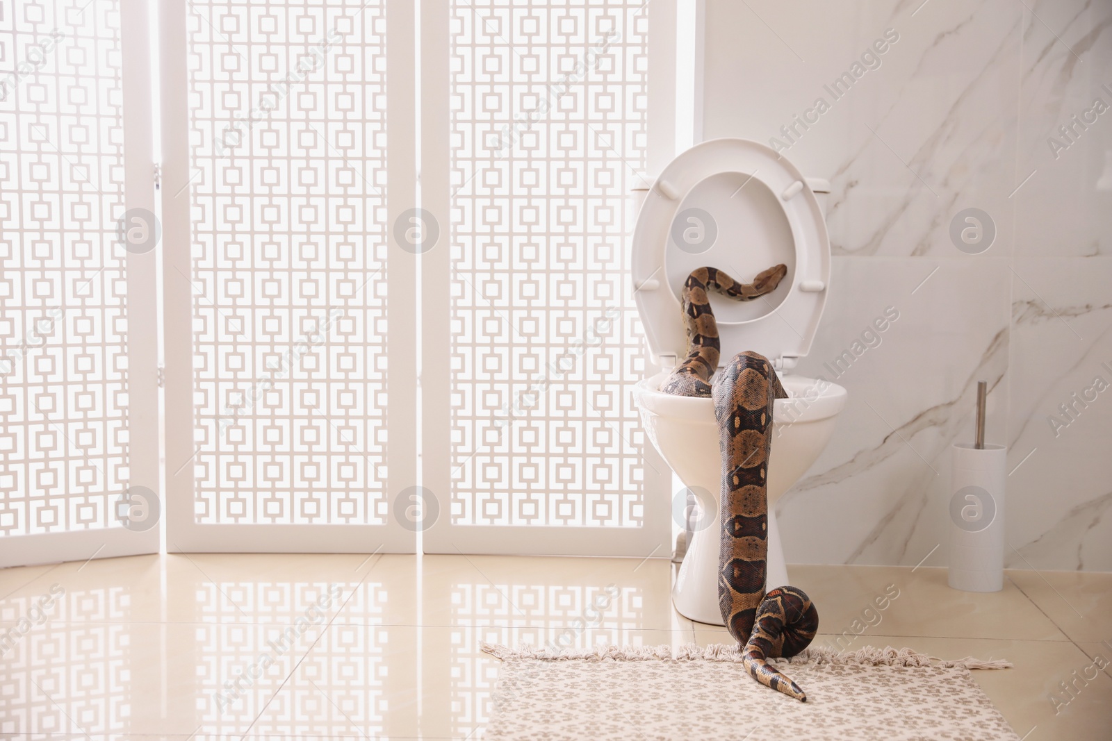 Photo of Brown boa constrictor on toilet bowl in bathroom