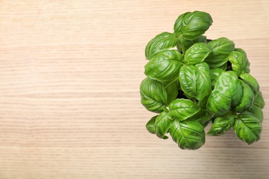 Photo of Fresh basil in pot on wooden background, top view with space for text