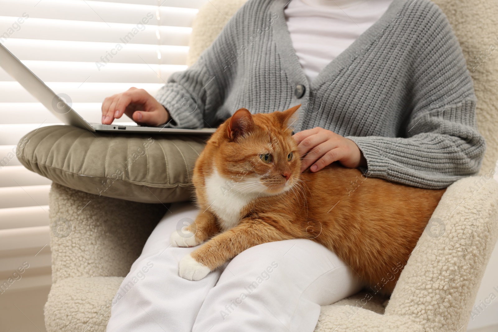 Photo of Woman working with laptop and petting cute cat at home, closeup