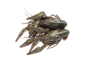 Photo of Many fresh raw crayfishes on white background, top view