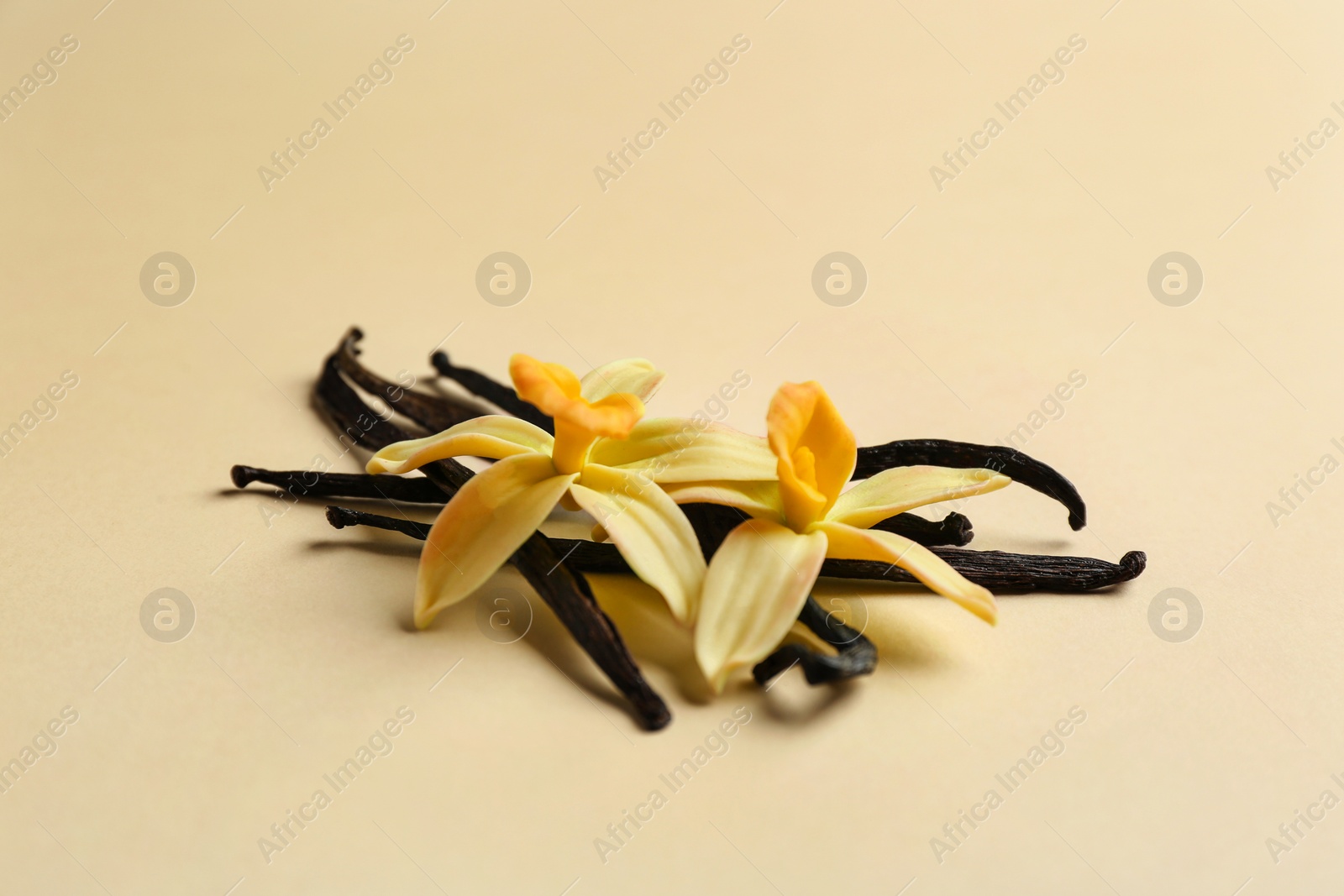 Photo of Vanilla sticks and flowers on color background. Space for text