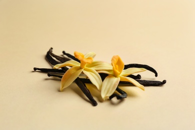 Vanilla sticks and flowers on color background. Space for text