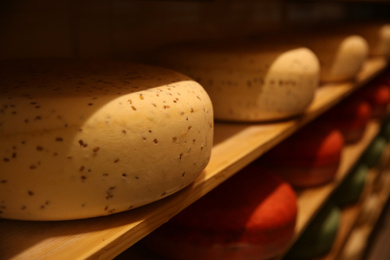 Photo of Fresh cheese heads on rack in factory warehouse, closeup