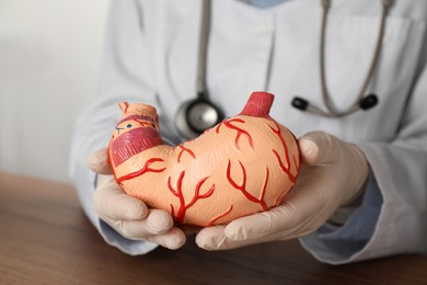 Photo of Gastroenterologist with human stomach model at table in clinic, closeup