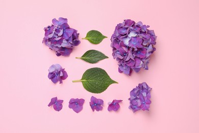 Photo of Beautiful hortensia flowers and green leaves on pink background, flat lay
