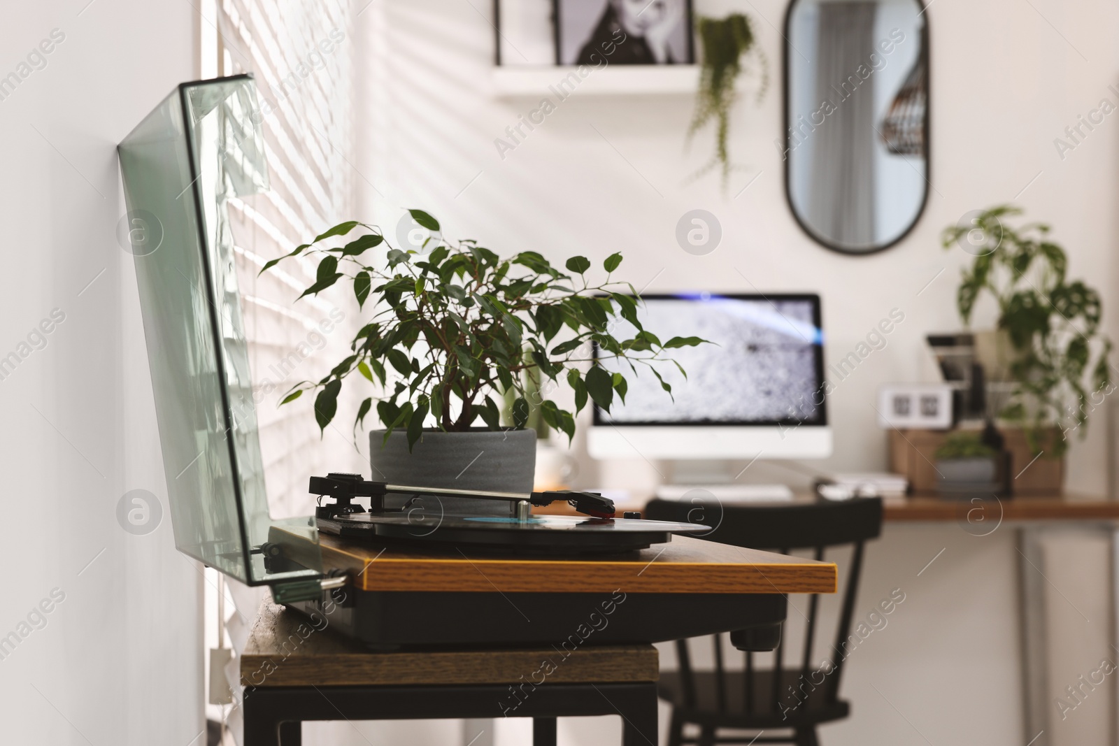 Photo of Record player and houseplant near cozy workplace at home