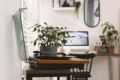 Photo of Record player and houseplant near cozy workplace at home