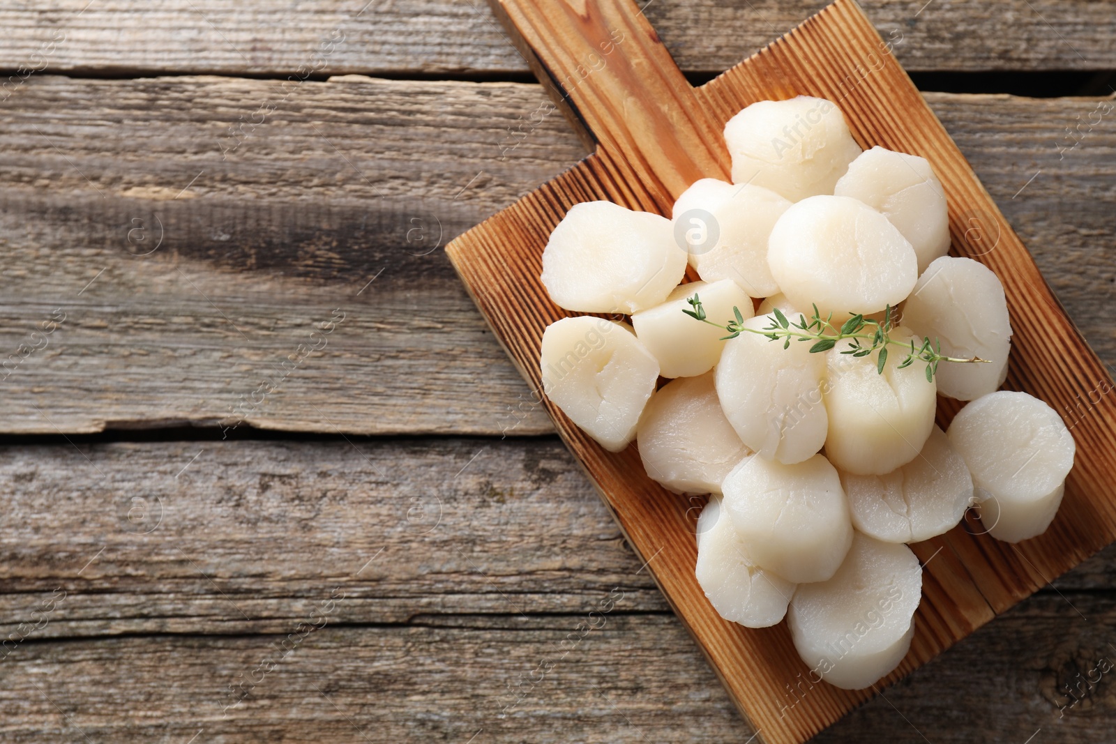 Photo of Fresh raw scallops and thyme on wooden table, top view. Space for text