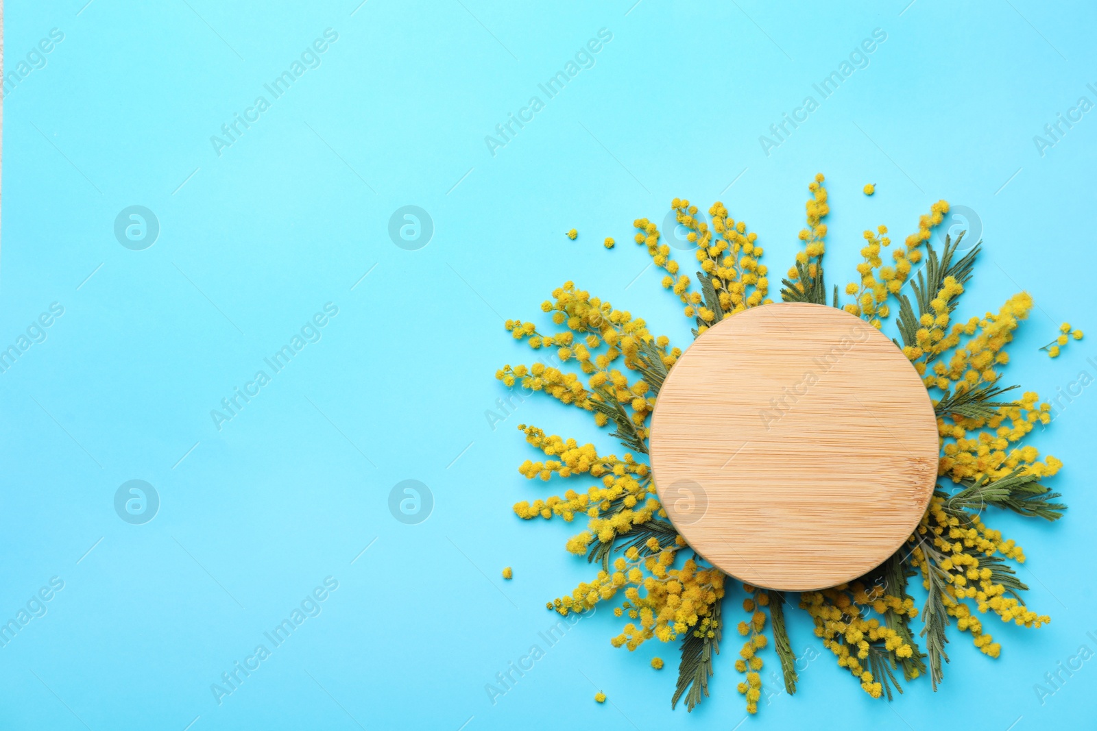 Photo of Beautiful floral composition with mimosa flowers and wooden board on light blue background, flat lay. Space for text