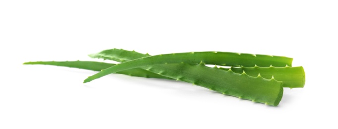 Photo of Aloe vera leaves on white background