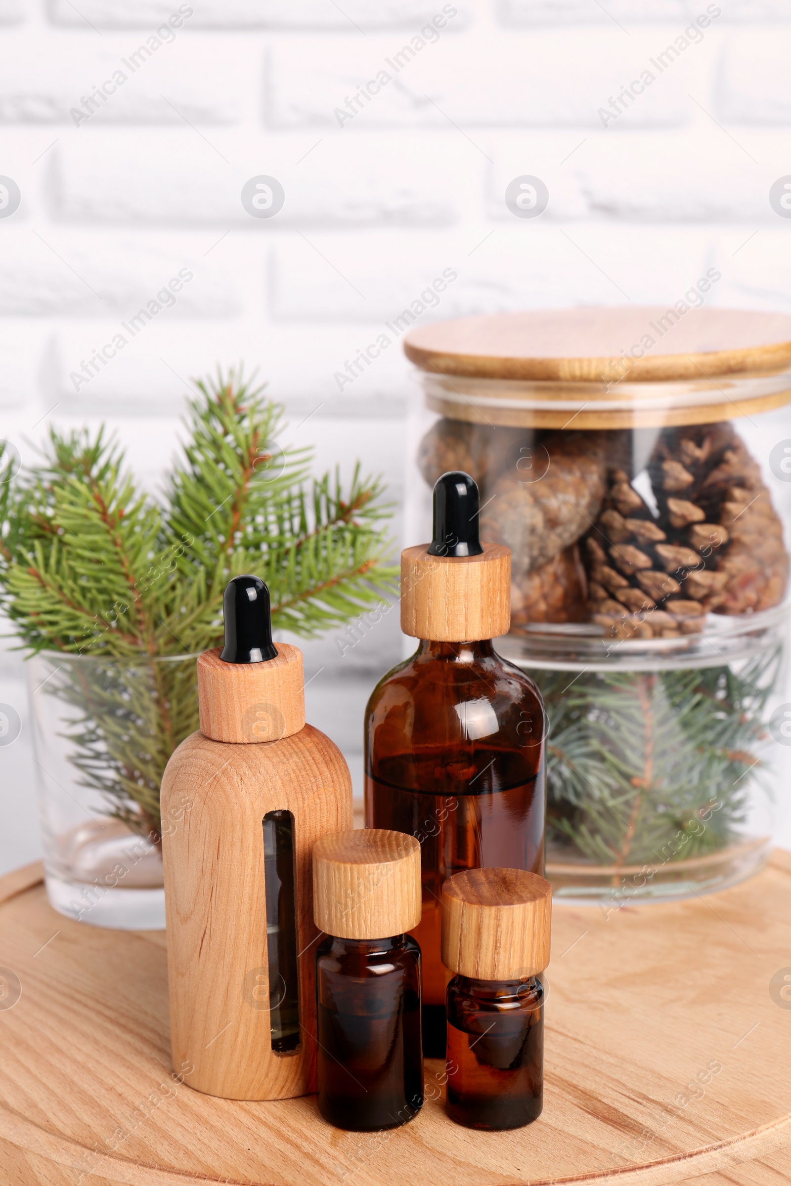 Bottles of essential oil, pine branches and cones on wooden board Photo of Bottles of essential oil, pine branches and cones on wooden board