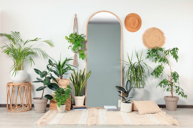 Stylish full length mirror and different houseplants near white wall in room