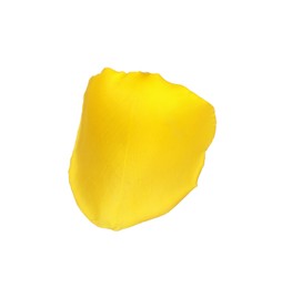 Photo of Beautiful yellow rose petal isolated on white