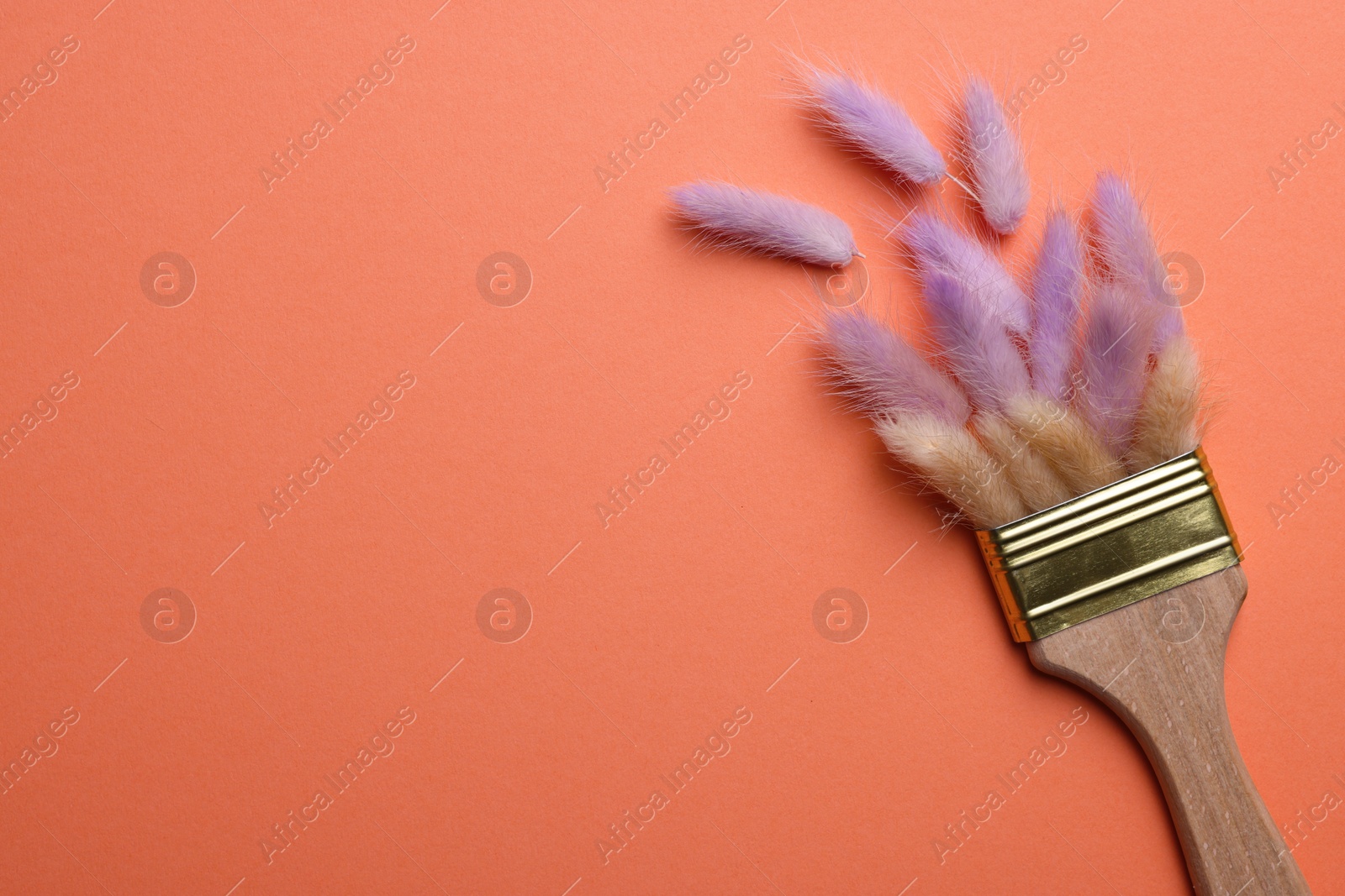 Photo of Creative flat lay composition with paint brush and fluffy wildflowers on coral background. Space for text