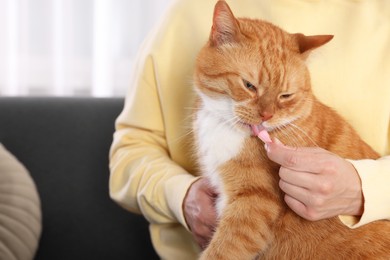 Photo of Woman giving vitamin pill to cute ginger cat on couch indoors, closeup