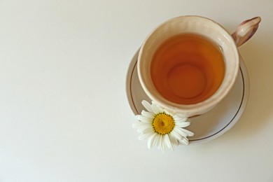 Tasty herbal tea and fresh chamomile flower on white table, above view. Space for text