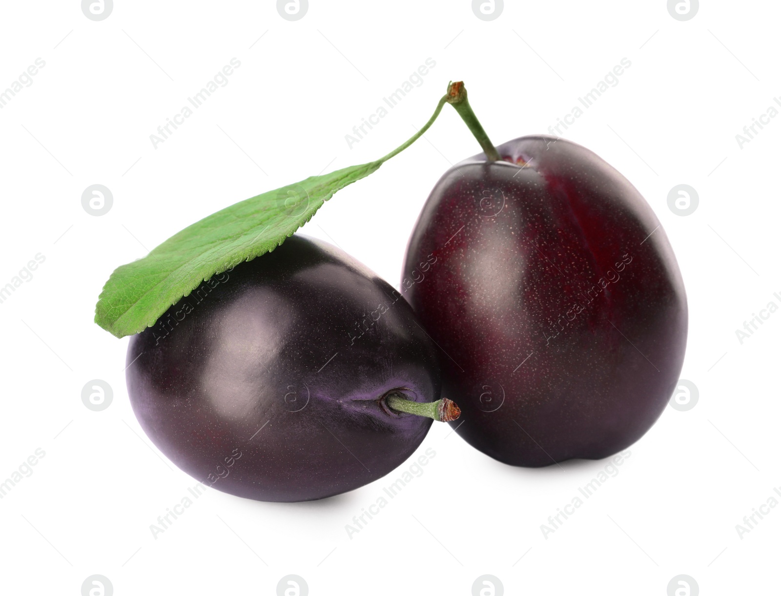 Photo of Delicious fresh ripe plums on white background