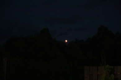 Beautiful view of lunar eclipse on dark sky
