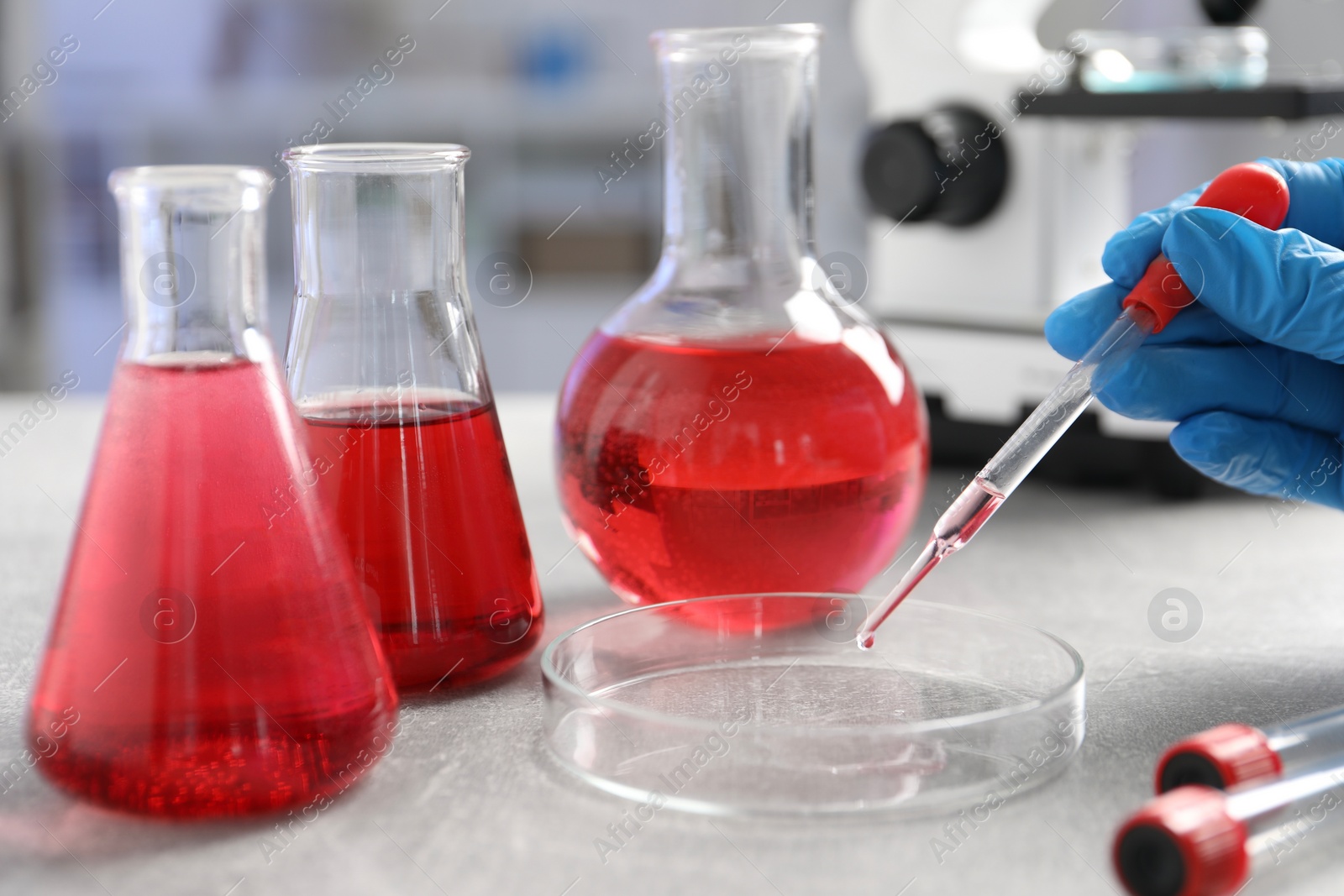 Photo of Laboratory analysis. Dripping red liquid into Petri dish on light grey table, closeup