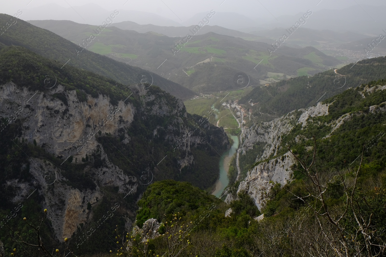 Photo of Picturesque view of green forest in mountains