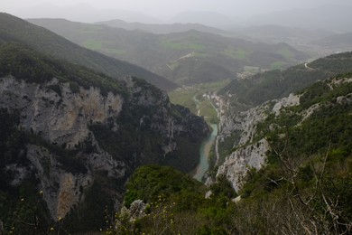 Picturesque view of green forest in mountains