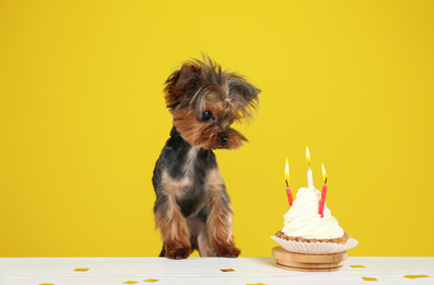 Photo of Cute Yorkshire terrier dog with birthday cupcake at table against yellow background