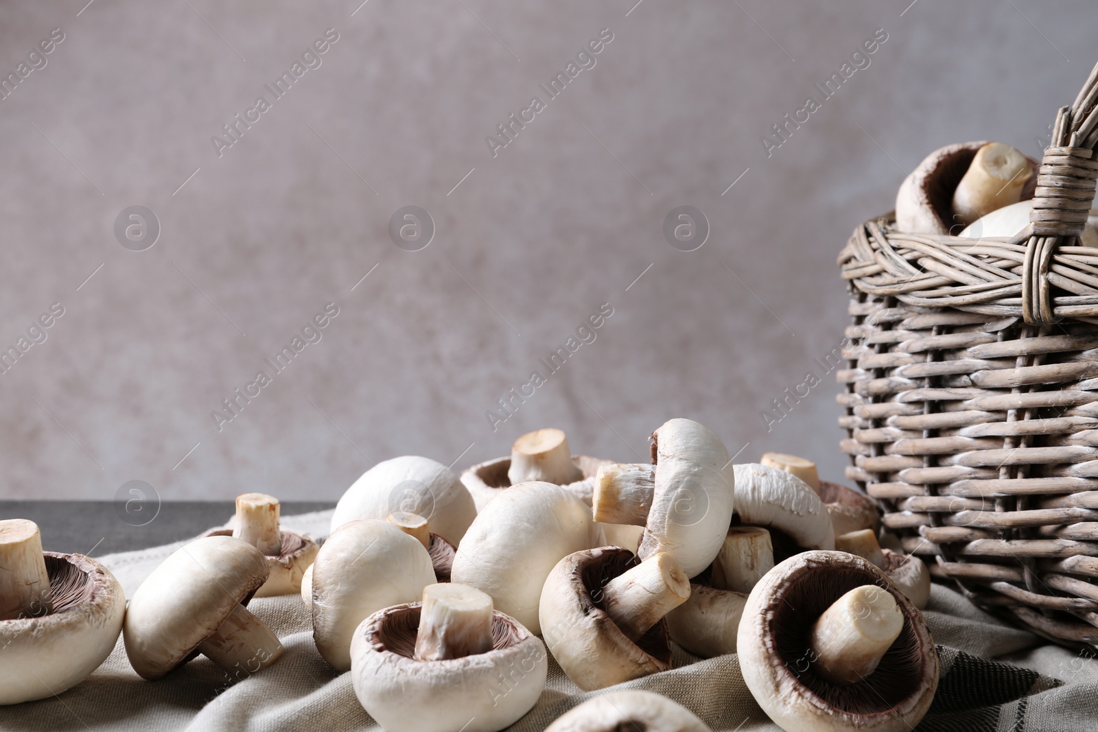 Photo of Fresh champignon mushrooms and basket on fabric. Space for text