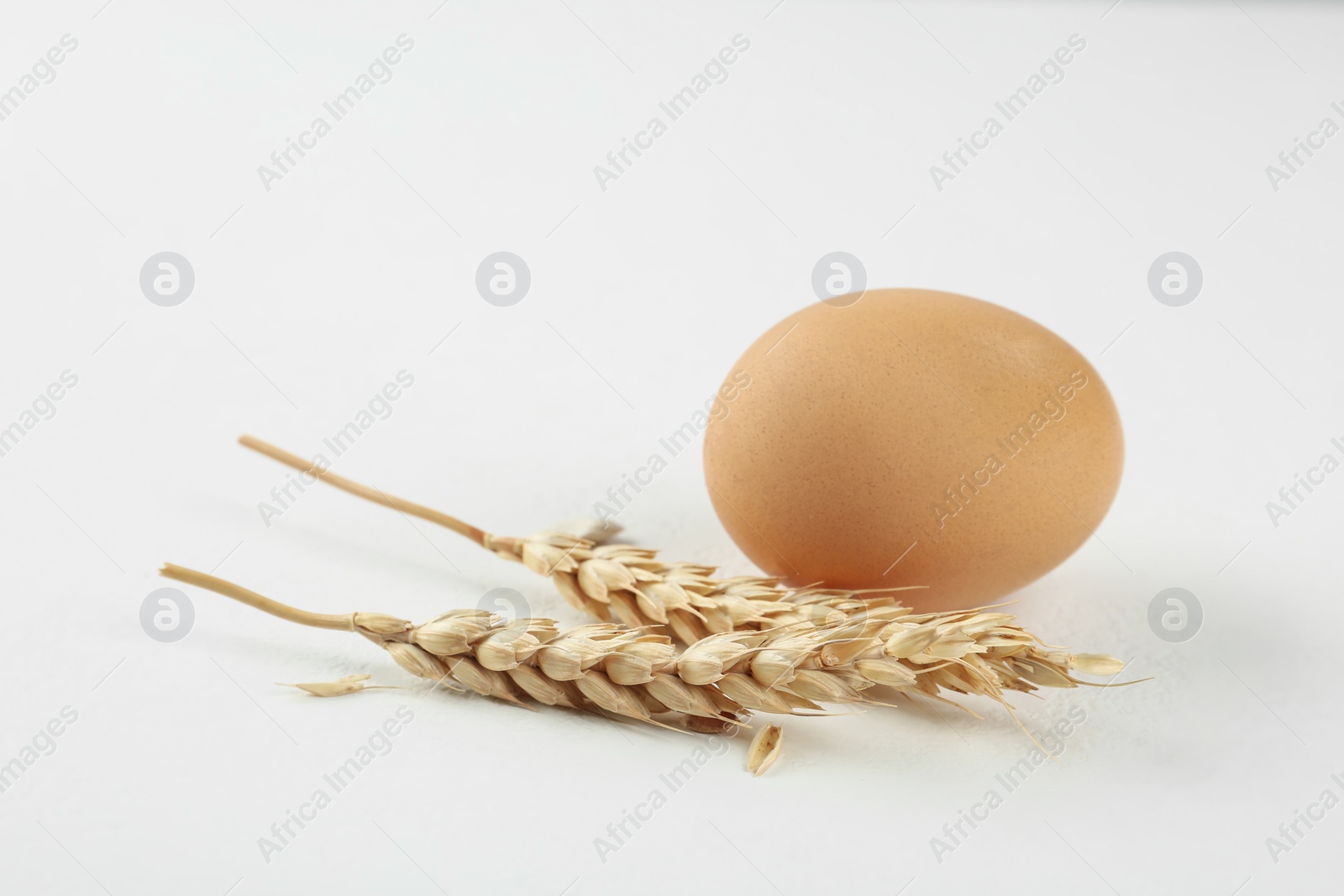 Photo of Raw chicken egg and wheat spikes on white table