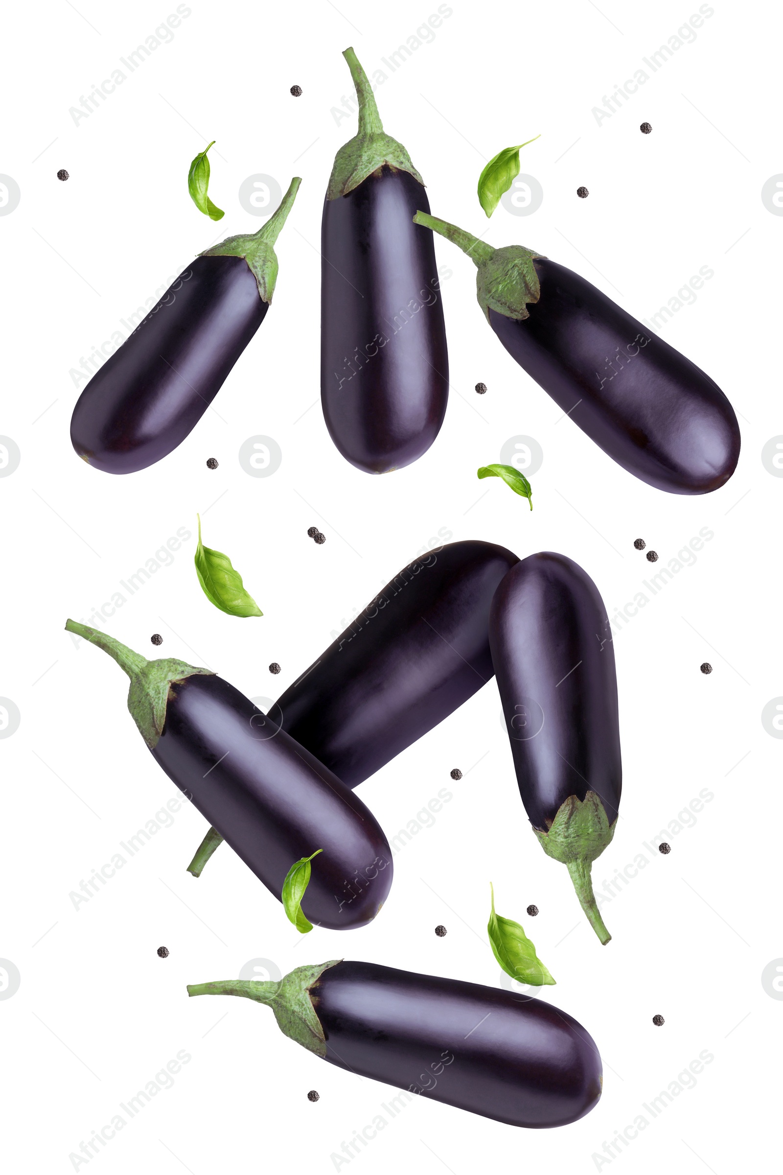 Image of Eggplants, basil and peppercorns falling on white background