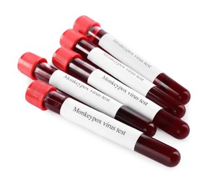 Monkeypox virus test. Sample tubes with blood on white background