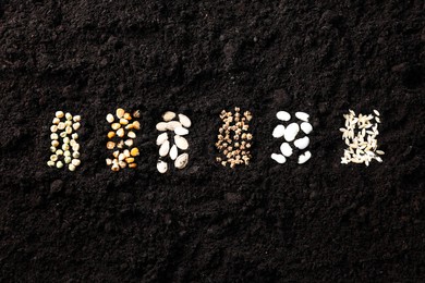 Photo of Different vegetable seeds on fertile soil, flat lay