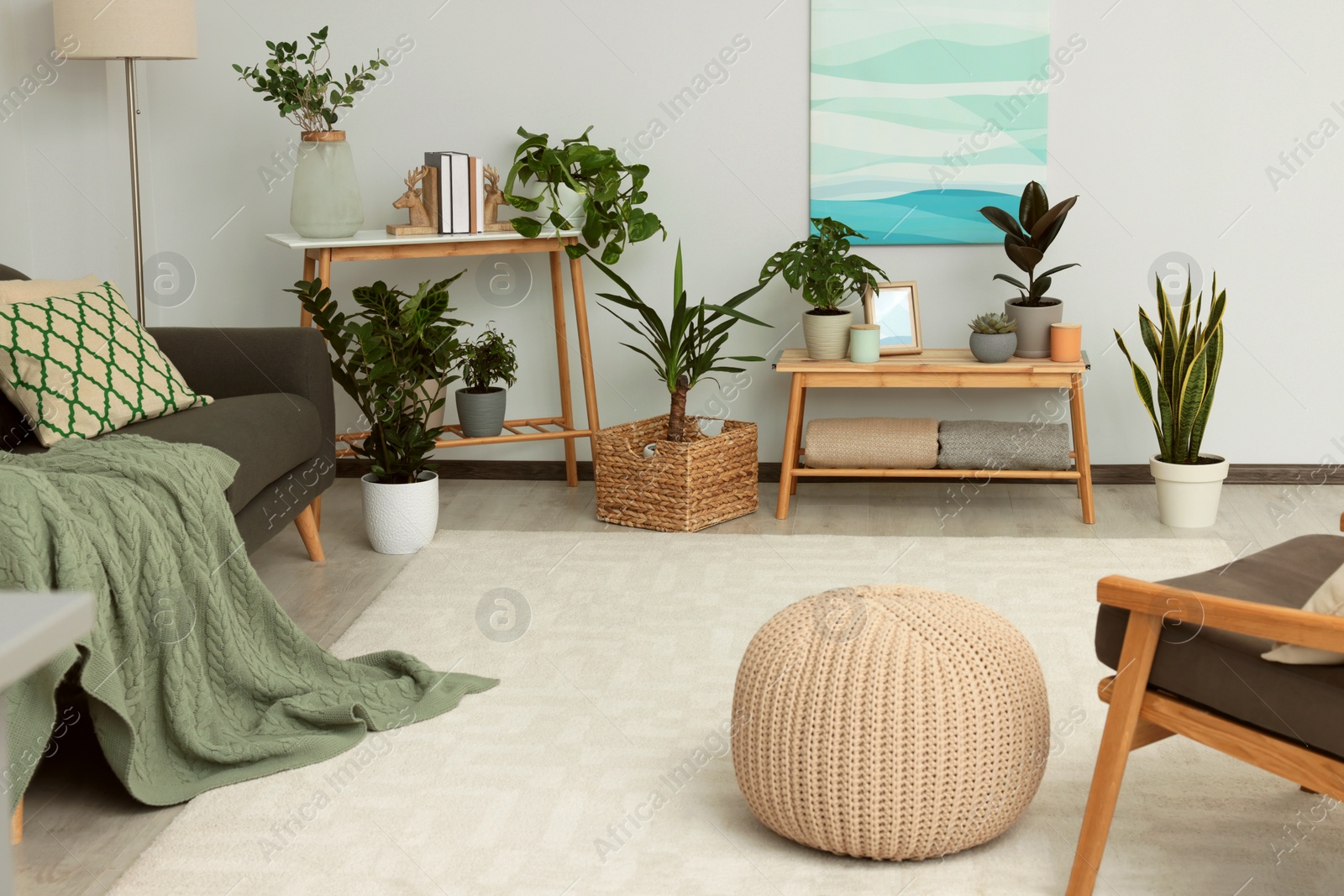 Photo of Beautiful living room interior with green houseplants and comfortable furniture