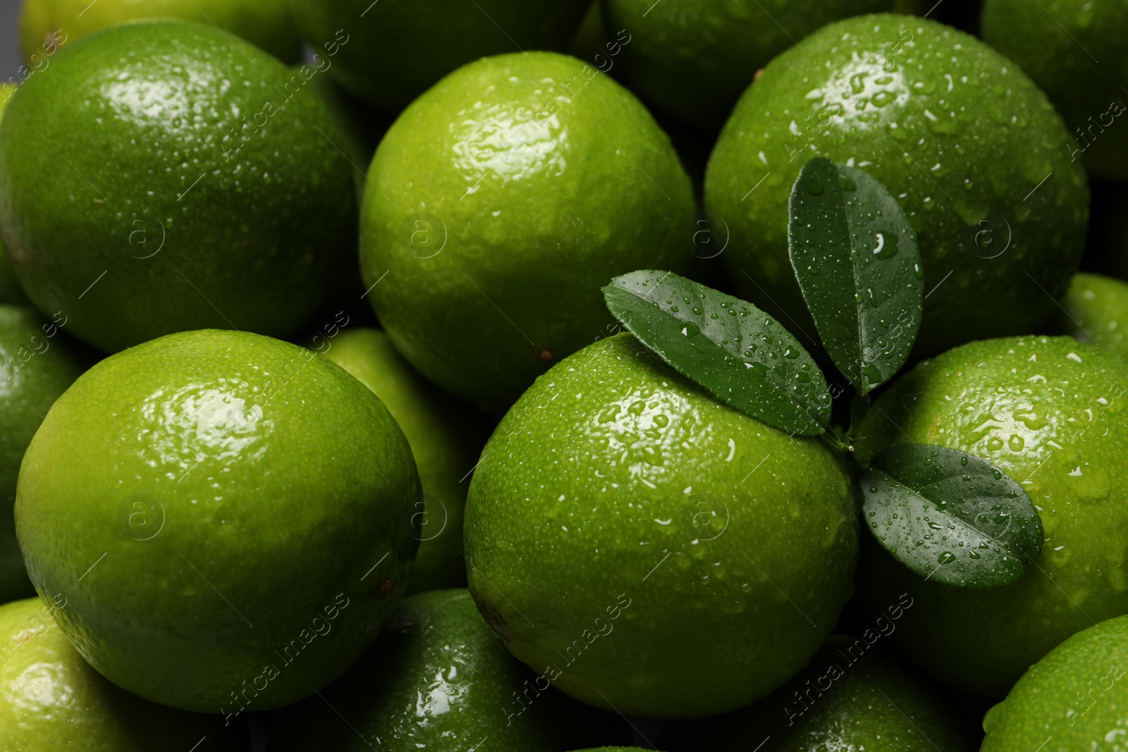 Photo of Fresh ripe limes and leaves with water drops as background, closeup