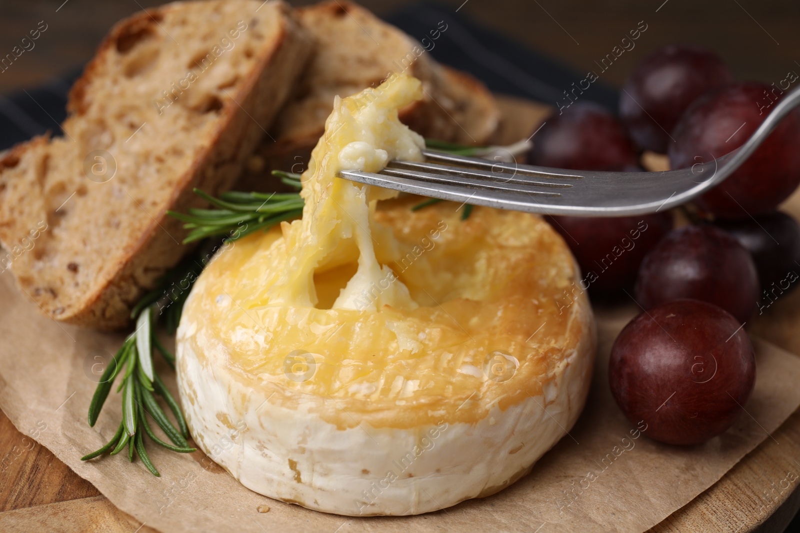 Photo of Taking tasty baked camembert with fork on table, closeup