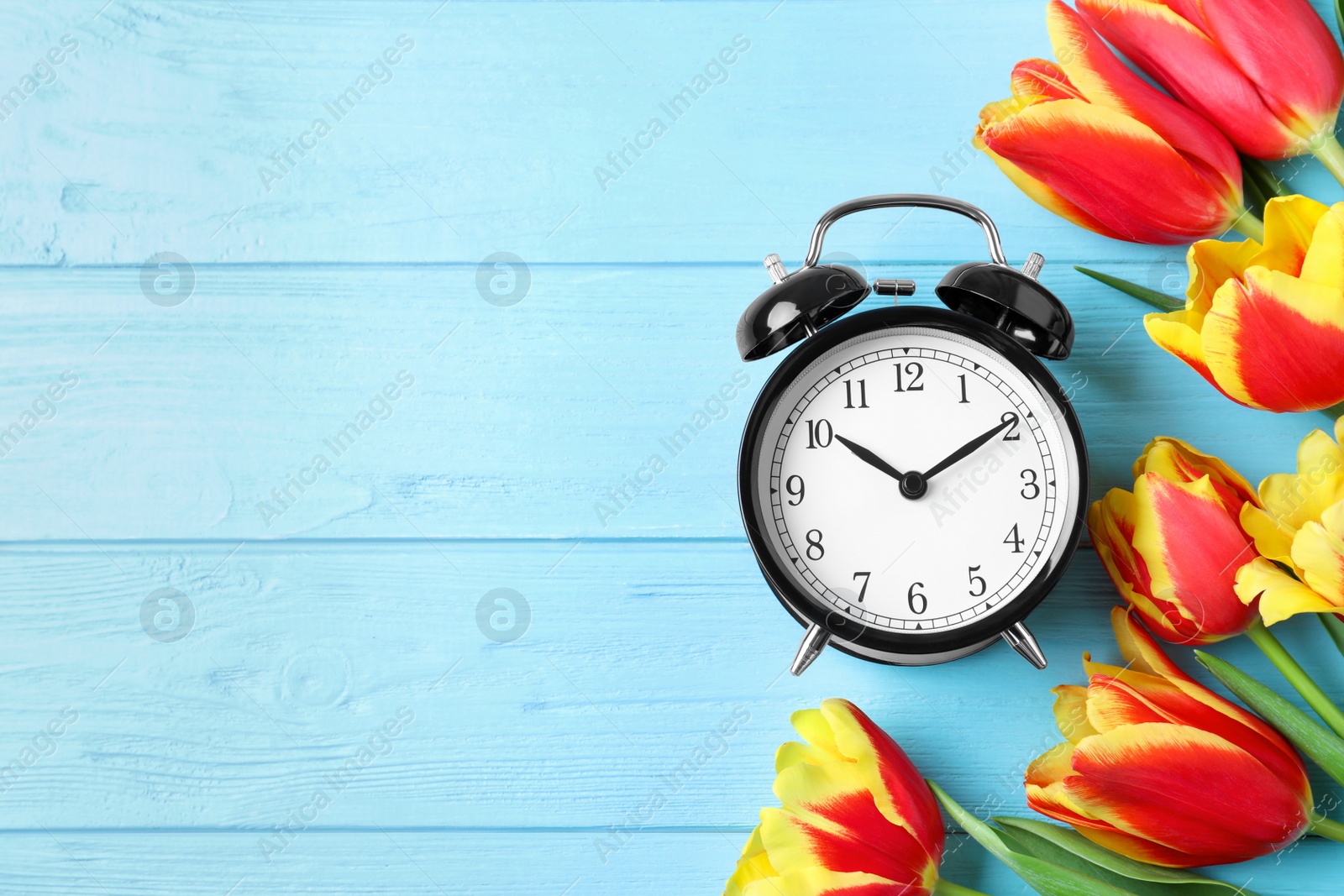 Photo of Black alarm clock with spring flowers and space for text on light blue wooden background, flat lay. Time change