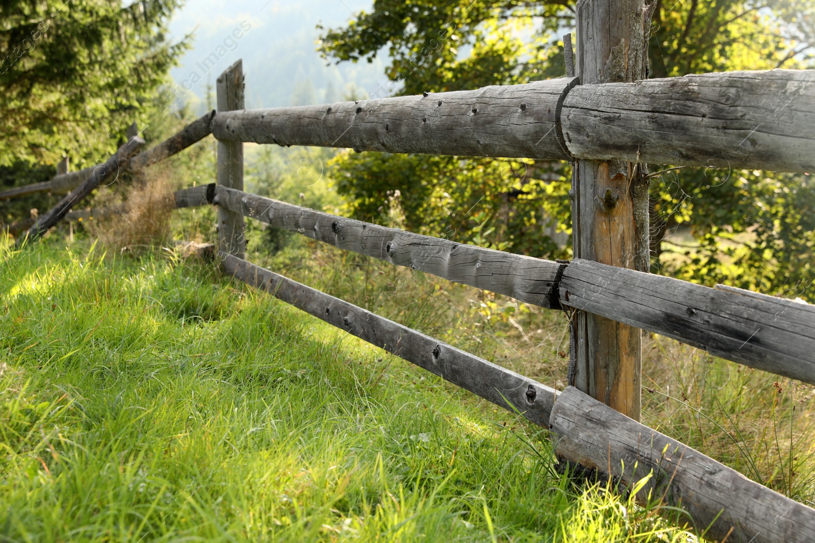 Photo of Wooden fence and bright green grass outdoors on sunny day