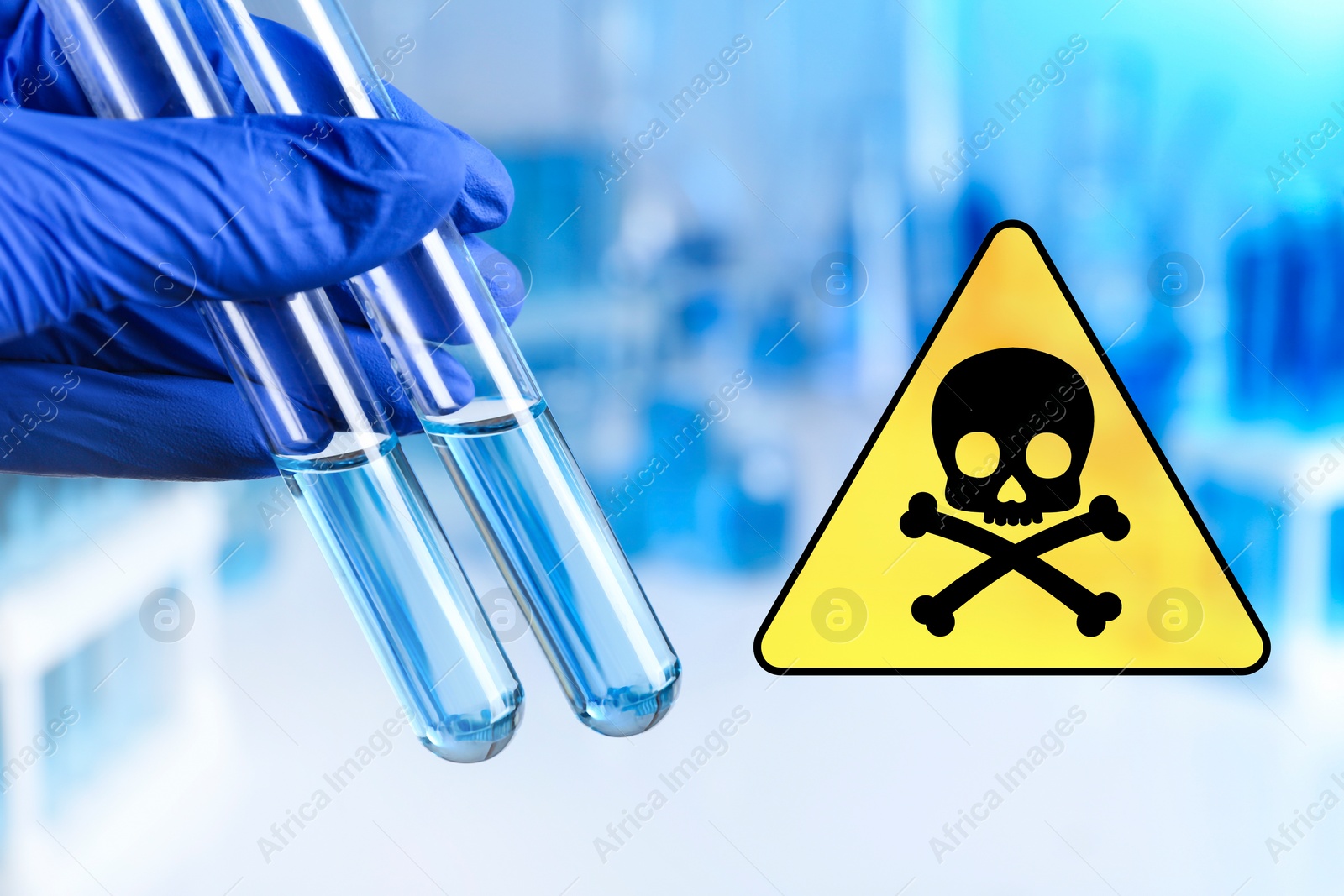 Image of Poison sign and scientist holding test tubes in laboratory, closeup