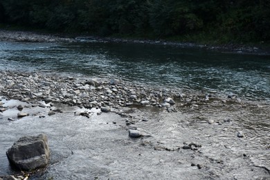 Picturesque view of small river with rocks