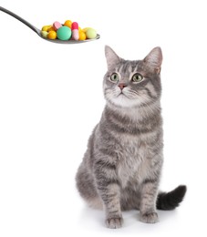 Image of Vitamins for pets. Cute cat and spoon with different pills on white background