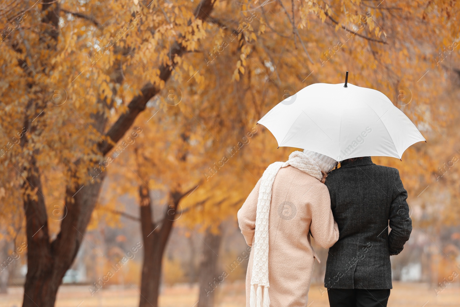 Photo of Young romantic couple with umbrella in park on autumn day