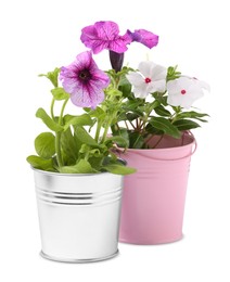 Beautiful flowers in different pots isolated on white