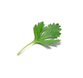 Photo of Fresh green organic parsley on white background