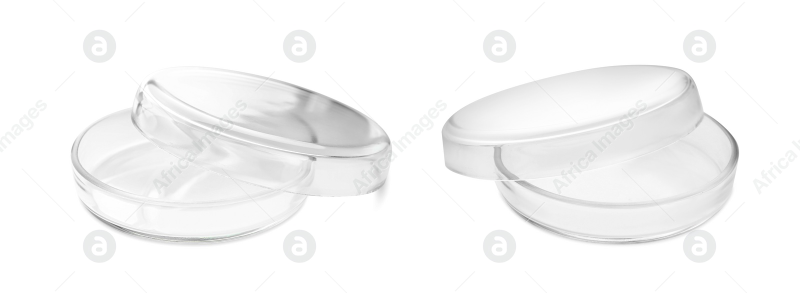 Image of Empty Petri dishes isolated on white. Laboratory glassware